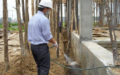Phòng mối cho công trình và các loại cấu kiện
