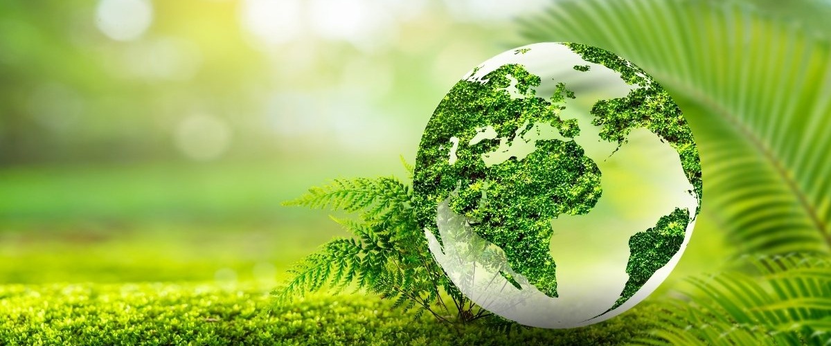 hinh-nen-PowerPoint-bao-ve-moi-truong-2