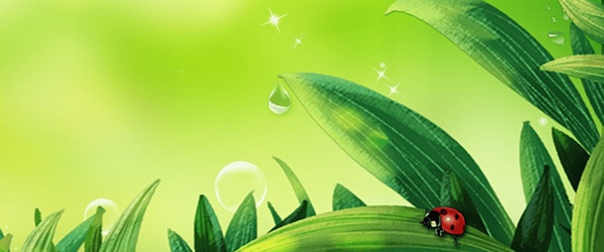 pngtree-spring-plant-insect-green-minimalist-background-image_812342